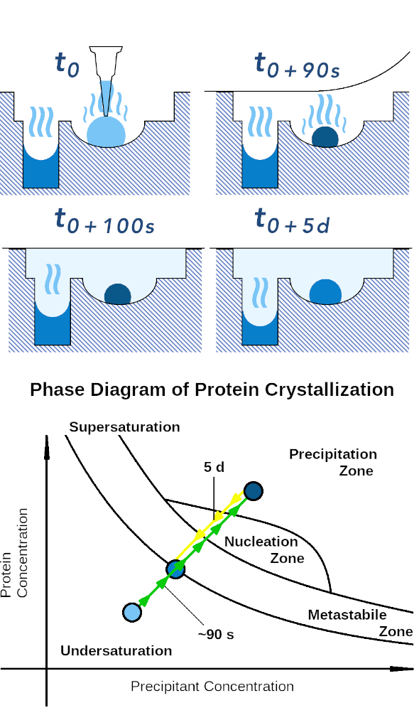 Inadvertent reverse Vapor Diffusion in robotically loaded Plates