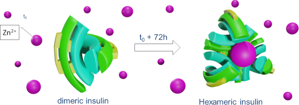 Monomer and Oligomer Distinction