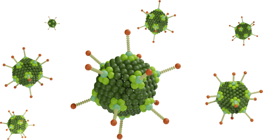 Adenoviral Vector Analysis via in plate DLS